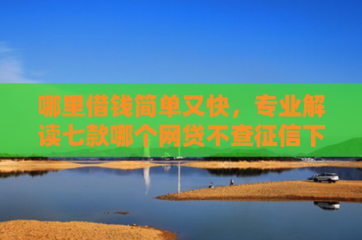 哪里借钱简单又快，专业解读七款哪个网贷不查征信下款多