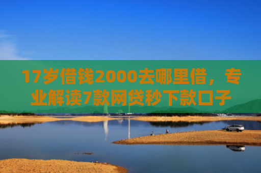 17岁借钱2000去哪里借，专业解读7款网贷秒下款口子