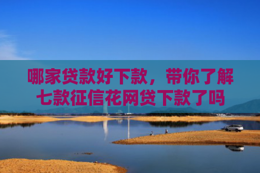哪家贷款好下款，带你了解七款征信花网贷下款了吗