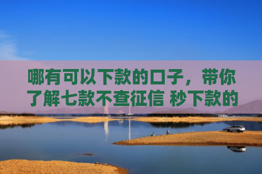 哪有可以下款的口子，带你了解七款不查征信 秒下款的网贷