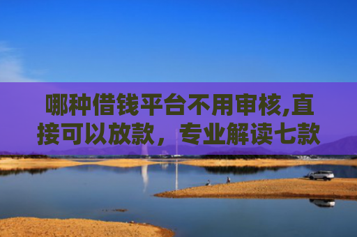 哪种借钱平台不用审核,直接可以放款，专业解读七款网贷和征信黑如何下款