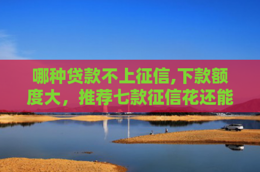 哪种贷款不上征信,下款额度大，推荐七款征信花还能下款的网贷