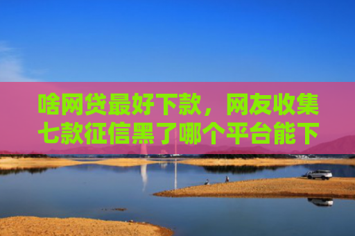 啥网贷最好下款，网友收集七款征信黑了哪个平台能下款买房