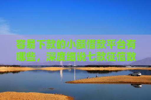 容易下款的小额借款平台有哪些，深度细说七款征信数据花能下款的平台