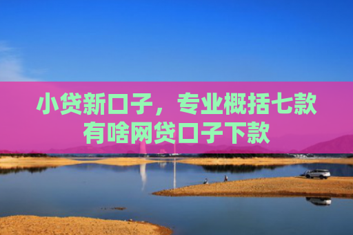 小贷新口子，专业概括七款有啥网贷口子下款