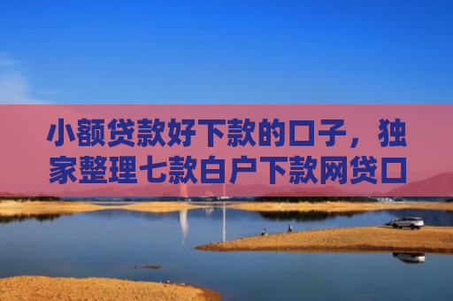 小额贷款好下款的口子，独家整理七款白户下款网贷口子