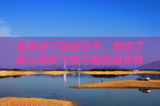 容易秒下款的口子，带你了解七款秒下款不看征信贷款平台