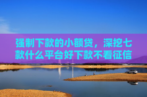 强制下款的小额贷，深挖七款什么平台好下款不看征信