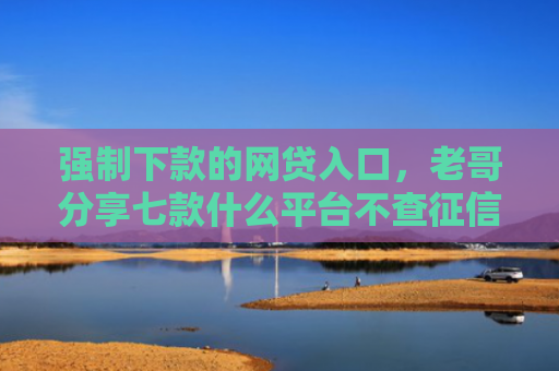强制下款的网贷入口，老哥分享七款什么平台不查征信下款快