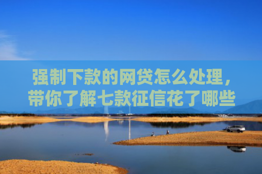 强制下款的网贷怎么处理，带你了解七款征信花了哪些平台能下款
