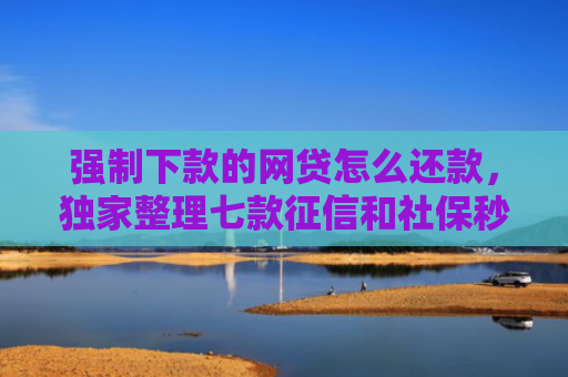 强制下款的网贷怎么还款，独家整理七款征信和社保秒下款平台