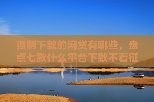 强制下款的网贷有哪些，盘点七款什么平台下款不看征信