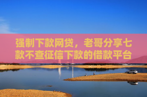 强制下款网贷，老哥分享七款不查征信下款的借款平台