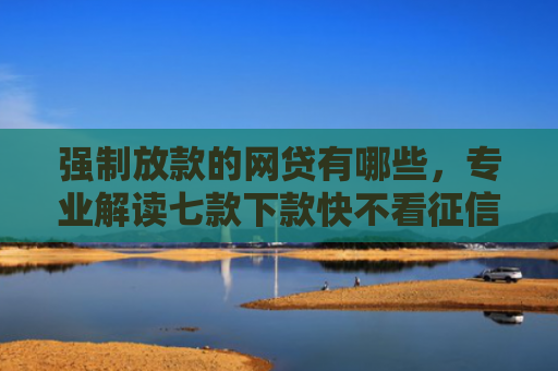 强制放款的网贷有哪些，专业解读七款下款快不看征信的平台