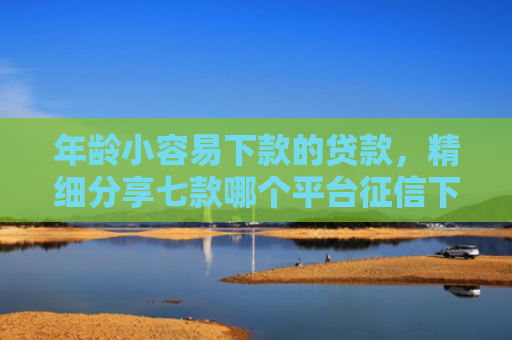 年龄小容易下款的贷款，精细分享七款哪个平台征信下款高