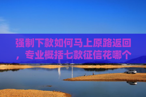 强制下款如何马上原路返回，专业概括七款征信花哪个平台必下款