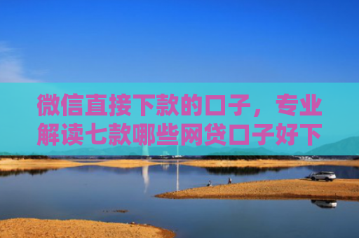 微信直接下款的口子，专业解读七款哪些网贷口子好下款