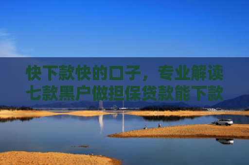 快下款快的口子，专业解读七款黑户做担保贷款能下款吗