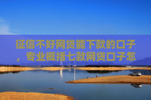 征信不好网贷能下款的口子，专业概括七款网贷口子怎么填下款高