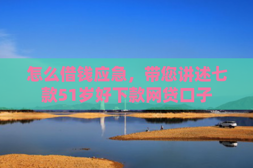 怎么借钱应急，带您讲述七款51岁好下款网贷口子