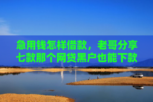 急用钱怎样借款，老哥分享七款那个网贷黑户也能下款吗