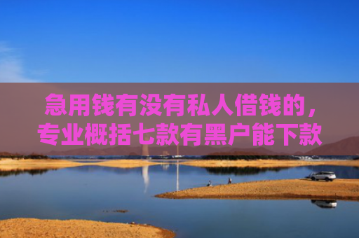 急用钱有没有私人借钱的，专业概括七款有黑户能下款的网贷吗？