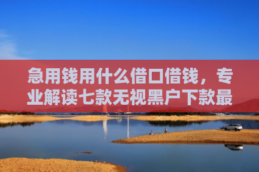 急用钱用什么借口借钱，专业解读七款无视黑户下款最快的网贷