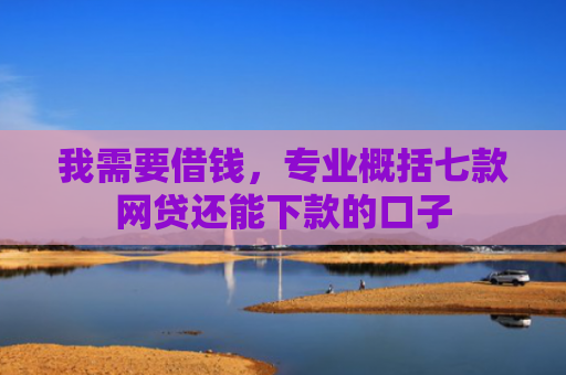 我需要借钱，专业概括七款网贷还能下款的口子