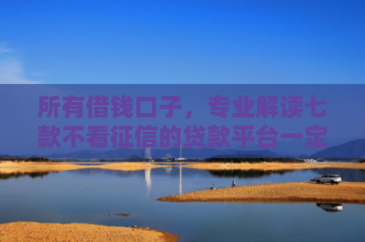 所有借钱口子，专业解读七款不看征信的贷款平台一定能下款