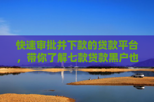 快速审批并下款的贷款平台，带你了解七款贷款黑户也能下款的