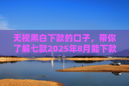 无视黑白下款的口子，带你了解七款2025年8月能下款的网贷口子