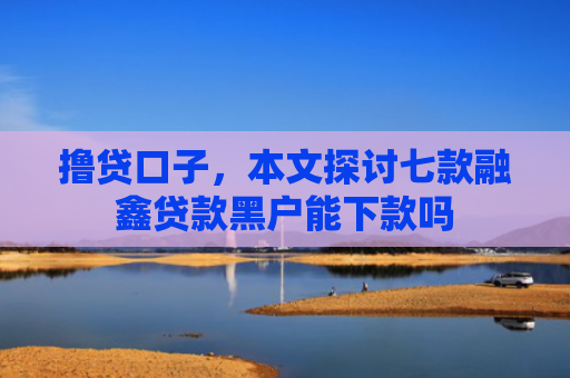 撸贷口子，本文探讨七款融鑫贷款黑户能下款吗