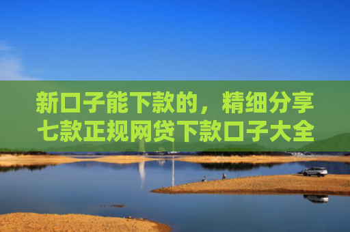 新口子能下款的，精细分享七款正规网贷下款口子大全
