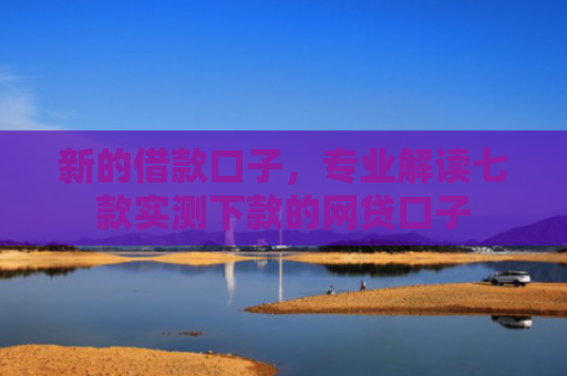 新的借款口子，专业解读七款实测下款的网贷口子