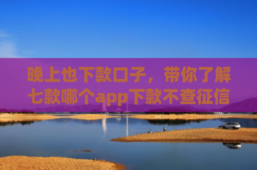 晚上也下款口子，带你了解七款哪个app下款不查征信