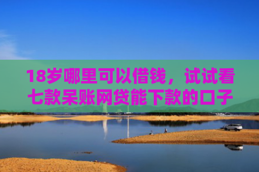 18岁哪里可以借钱，试试看七款呆账网贷能下款的口子