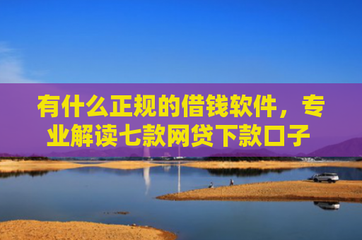 有什么正规的借钱软件，专业解读七款网贷下款口子 无视黑白