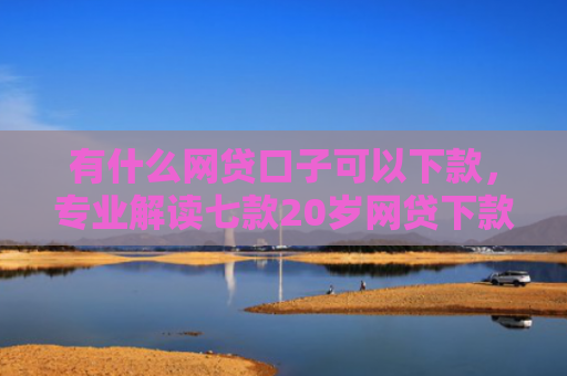 有什么网贷口子可以下款，专业解读七款20岁网贷下款口子