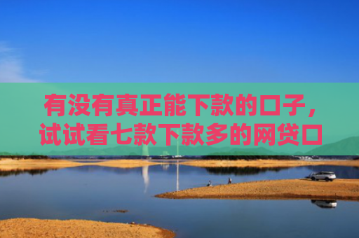 有没有真正能下款的口子，试试看七款下款多的网贷口子