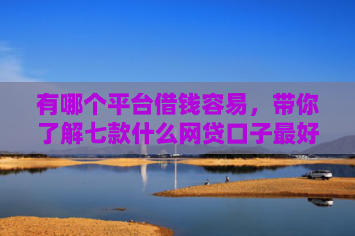 有哪个平台借钱容易，带你了解七款什么网贷口子最好下款