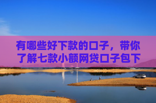 有哪些好下款的口子，带你了解七款小额网贷口子包下款