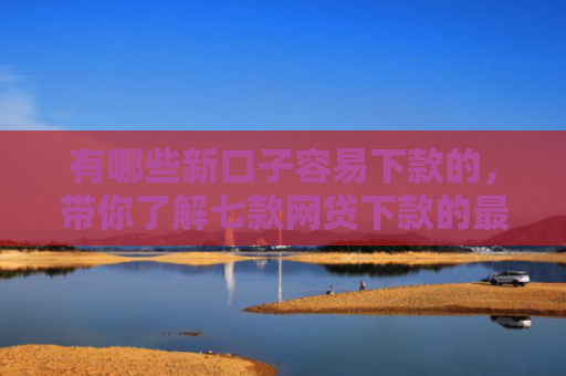 有哪些新口子容易下款的，带你了解七款网贷下款的最新口子