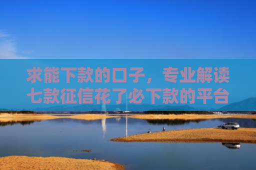 求能下款的口子，专业解读七款征信花了必下款的平台