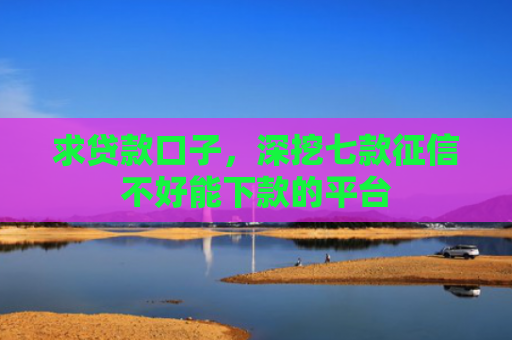 求贷款口子，深挖七款征信不好能下款的平台