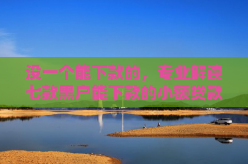 没一个能下款的，专业解读七款黑户能下款的小额贷款吗