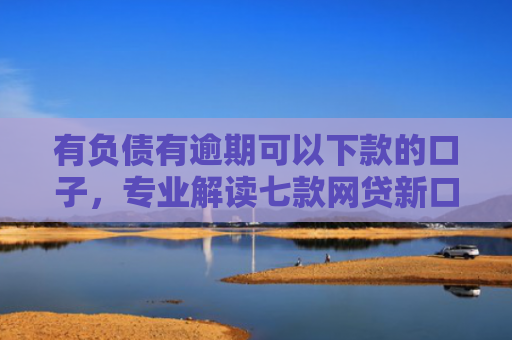 有负债有逾期可以下款的口子，专业解读七款网贷新口子下款块