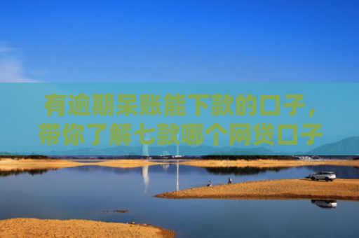 有逾期呆账能下款的口子，带你了解七款哪个网贷口子下款快