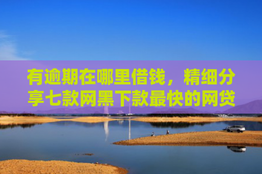 有逾期在哪里借钱，精细分享七款网黑下款最快的网贷口子