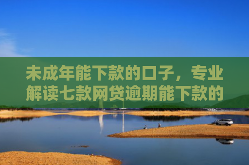 未成年能下款的口子，专业解读七款网贷逾期能下款的口子