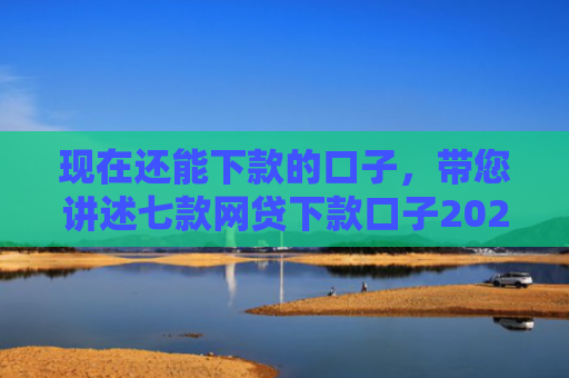 现在还能下款的口子，带您讲述七款网贷下款口子2025